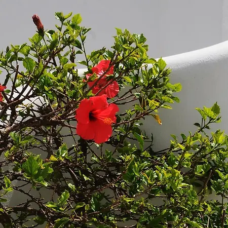 Szálloda Aegeo Folégandros