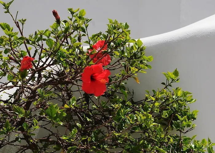 호텔 Aegeo Folégandros