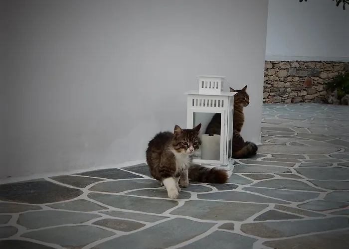 αιγαίο Ξενοδοχείο